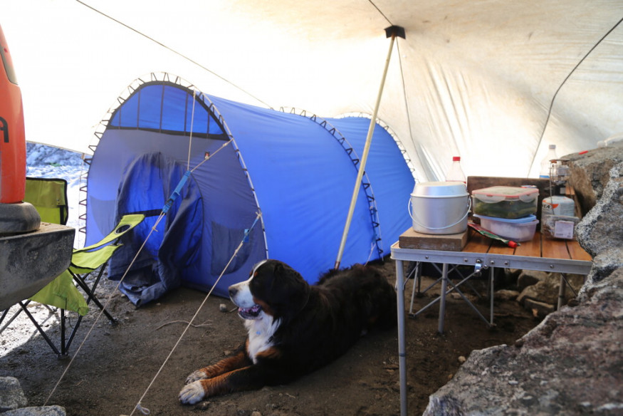 Тент Век 6х6 костровой